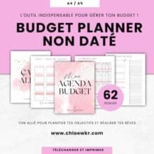 Budget Planner : 62 feuilles budget mensuel